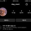 도그먼트 이미지