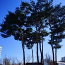 신길선사유적지 이미지