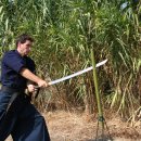 해동검도 이미지