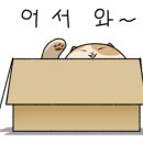 충대제일공인중개사사무소 이미지