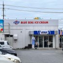 일본 오키나와 뚜벅이 여행 3박 4일 (1)