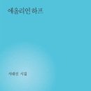 다 폴다