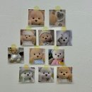 Berrys Bear | 서울 딸기케이크 맛집 | 군자 베리스베어 | 광진구 중곡동 디저트 카페