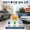 신차는 하이브리드, 중고차는 '반값 전기차' 이미지