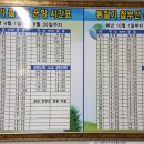 금일도·생일도 네이버블로그