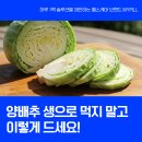 푸드필솔루션