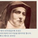 스테파노의 보물들
