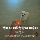 러브독 | 소중한 반려견의 건강한 발걸음 지킴이 러브앤독 강아지 미끄럼방지 파우더 후기