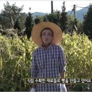 해븐 이미지