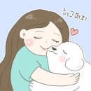 허그퍼피 | 광주 일곡동 애견미용 허그퍼피 푸들미용