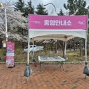 싸인테크 - 순천시 풍덕1길 12 | 춘천간판 춘천행사세팅 강원행사세팅은 싸인테크 | 🌸 속초 영랑호 벚꽃행사 시공 후기
