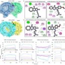 충남대학교 신약전문대학원 이미지