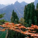 솔고개민박 이미지