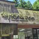 제주 사려니숲길 무장애나눔길 후기 | 유모차와 함께 다녀온 가족 여행 코스