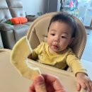 [후기] 산골과일참, 쌀참