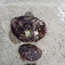 궁촌어촌체험휴양마을 이미지