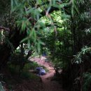 봉황산나래숲 이미지