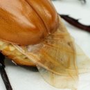 송인농장 이미지