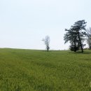 석문목장 이미지