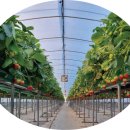 김성섭 농장 이미지