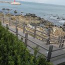 울산 해양박물관 이미지