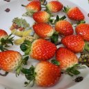 은기농장 이미지