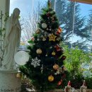 임당성당 이미지