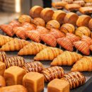 우송대학교 이미지