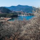매화수산