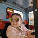 팡팡 | 에버랜드 아기 놀이기구 2탄. 스카이댄싱 붕붕카 로보트카 플래쉬팡팡 후기(키, 보호자 동승, 탑승 영상)