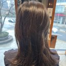 우성버스 | 준오헤어강남우성점 지유 수석실장 강남 레이어드컷 계의 신 대만족 후기