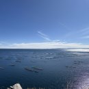 가나PC방 | [남미여행8일] 푸노-> 볼리비아 라파즈 국경 이동 / 라파즈 마녀시장, 케이블카 타고 야경