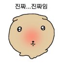 중앙동116 이미지