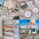 간식멍냥 이미지