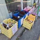 수원 : 용연피크닉 l 행궁동 1만 원 가성비 피크닉 대여 후기