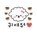엄지애견 이미지