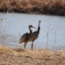 강서체육공원 이미지