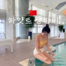 상하이 | 그랜드 하얏트 상하이 수영장 조식 후기 동방명주 뷰 맛집