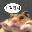 연스시 이미지
