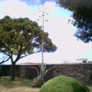 공항입구 이미지