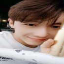 나비왕