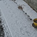 (사) 경찰공제회 포항의원 | 2月1號. 거창한 행복이 필요로 하는 것은 시시한 일상이야