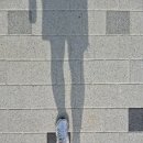 홍삼산삼천국