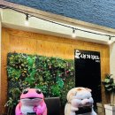 도새기1982중문점 이미지