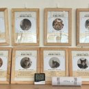 냥스테이 이미지