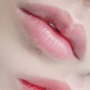 다여기 이미지