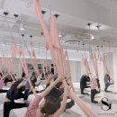 (상반기)발레핏 이미지