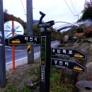 약초와 생활한방 이미지