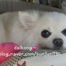 뽀송 이미지
