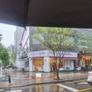 [자미당] 동탄 꽈배기맛집 내돈내산 자미당 후기